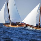 Regata a vela latina nel golfo dell'Asinara