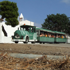 Il trenino turistico sull'Asinara