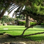 Uno scorcio del grande giardino mediterraneo