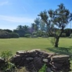Il campo da calcetto privato con tribune