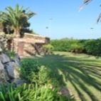Il viale che attraversando il giardino conduce alla villa