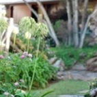 Decorazioni floreali in giardino